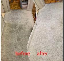 Fresh Carpet_Cleaning And Sofa Cleaning_Available - Photo 5