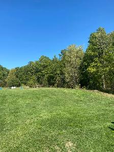 Reliable General Labourer Available – Landscaping, Moving, Fence - Photo 5