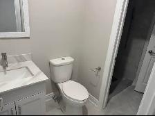 2 Den Basement Apartment in Newmarket July/August 1st - Photo 5
