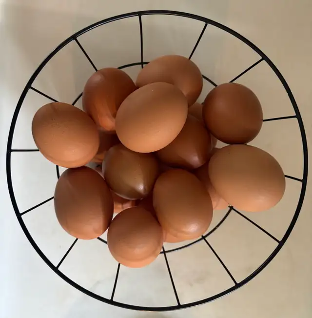 Fresh Pasture Raised Eggs