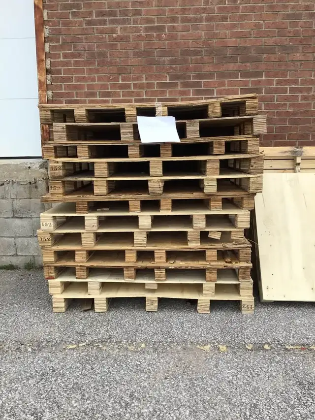 FREE SKIDS