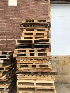FREE SKIDS - Photo 3