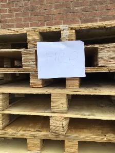 FREE SKIDS - Photo 4