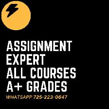 Need a Professional Writer? Work Directly With an Expert
