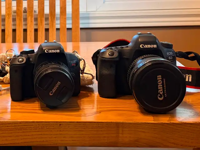 6D Mark 2 Canon | T7i Rebel Canon