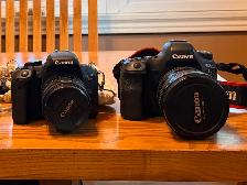6D Mark 2 Canon | T7i Rebel Canon