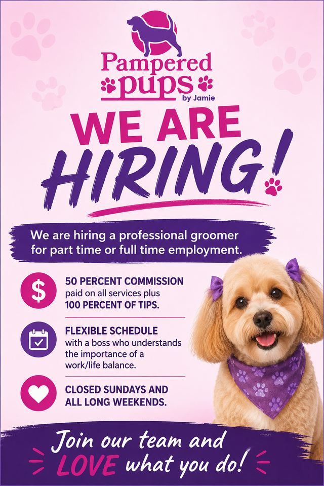 We are hiring!