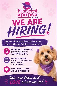 We are hiring!