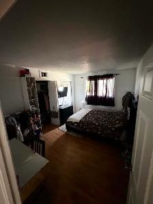 Reginald - Photo 2
