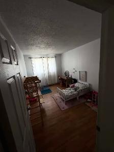 Reginald - Photo 3