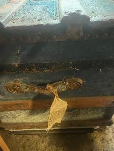 Hudson Bay antique trunk - Hudson Bay tag - Photo 3