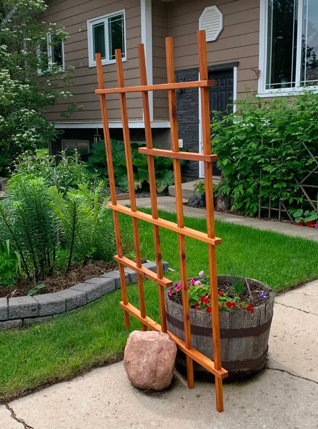 6 foot cedar trellis