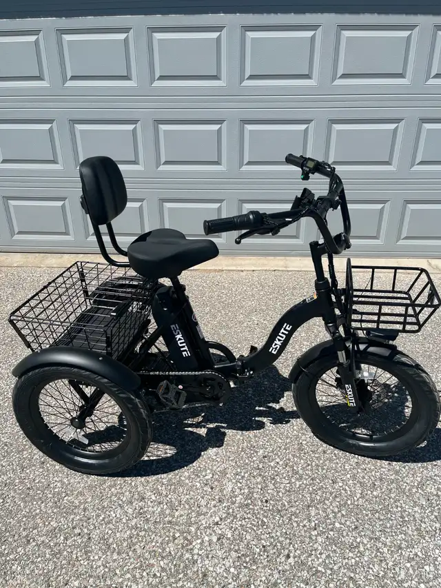 Adult E-trike