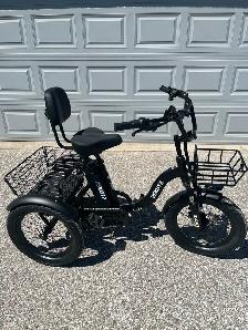 Adult E-trike