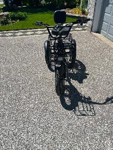 Adult E-trike - Photo 2