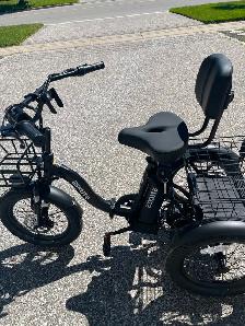 Adult E-trike - Photo 3