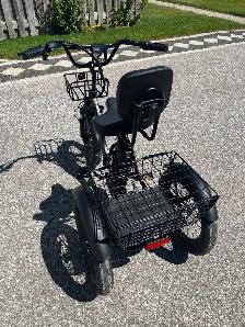 Adult E-trike - Photo 4