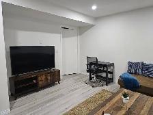 Private Furnished 1 Bedroom - Photo 5