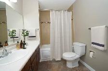 S/M/L DOG? HUGE 3 Bed 1.5 Bath. TALL DOUBLE GARAGE. Mill Woods - Photo 5