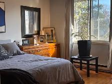 Grand 5 1/2 Ensoleillé Quartier Rosemont