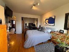 Grand 5 1/2 Ensoleillé Quartier Rosemont - Photo 3