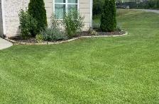 lawn care - Photo 4