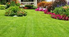 lawn care - Photo 6