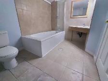 Renovated Keswick 2 Bedroom Basement Apartment - Photo 2