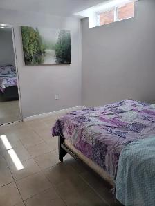 Renovated Keswick 2 Bedroom Basement Apartment - Photo 4