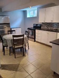 Renovated Keswick 2 Bedroom Basement Apartment - Photo 5