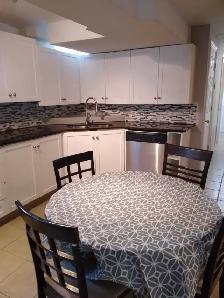 Renovated Keswick 2 Bedroom Basement Apartment - Photo 6