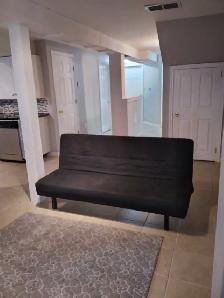 Renovated Keswick 2 Bedroom Basement Apartment - Photo 8