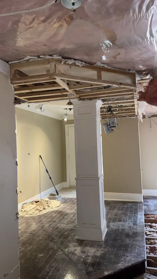 NEED A PROFESSIONAL PAINTER