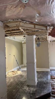 NEED A PROFESSIONAL PAINTER