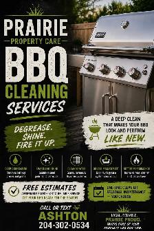 bbq cleaning