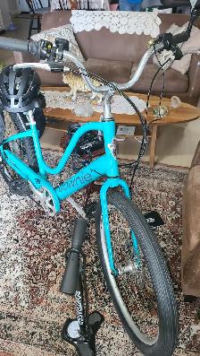 Electra Townie Go 7 Speed Bike - Photo 2