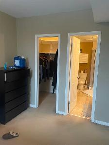 I'm looking for a female student and/or professional. - Photo 2