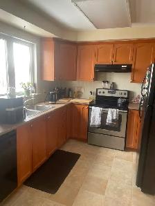 I'm looking for a female student and/or professional. - Photo 5