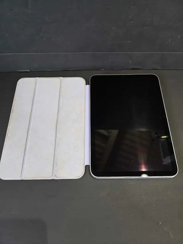(ROUGH) IPAD MINI 7 256GB W/CASE