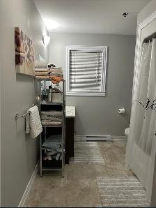 1 Large Bedroom Apartment in House for Rent - Photo 3