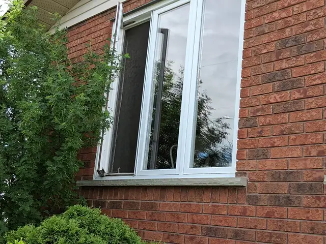 picture windows