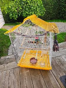 Large bird cage