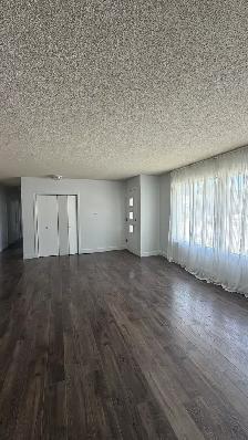 Clean, Spacious, Beautiful Home for Rent - Photo 3