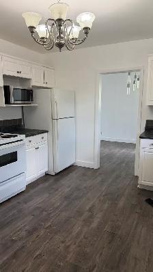 Clean, Spacious, Beautiful Home for Rent - Photo 9