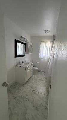 Clean, Spacious, Beautiful Home for Rent - Photo 10