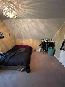 4 Bdrm House in University Area Available August 1 - Photo 7