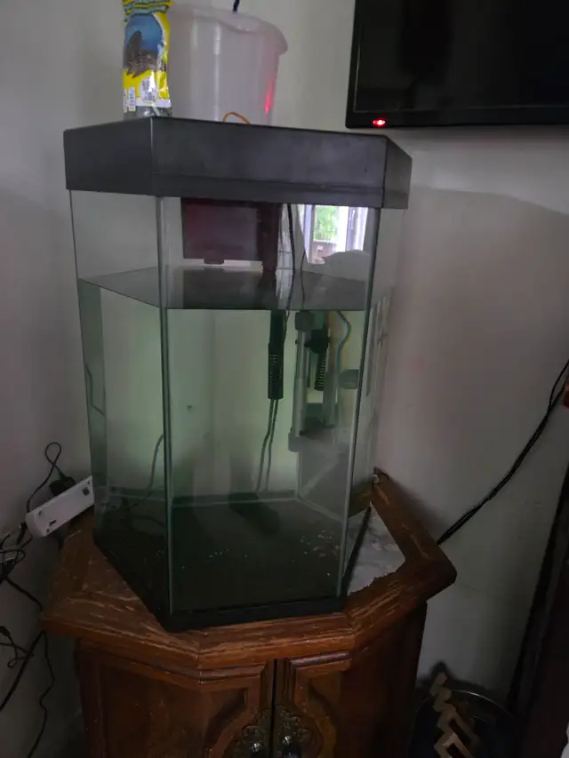 Hexagon Aquarium