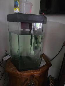 Hexagon Aquarium