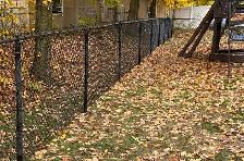 The Fence Phenoms - Photo 5