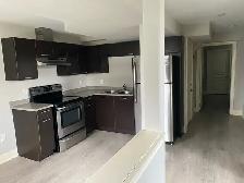 NEWLY RENOVATED, OPEN CONCEPT BACHELOR BASEMENT APARTMENT